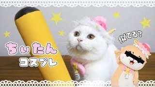 ちぃたん☆のコスプレをしたら暴力的な猫に！？