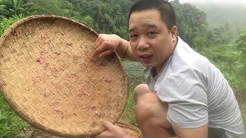 Bẫy cá bằng sàng và cái kêt.