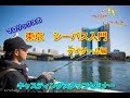 シーバス釣り初心者講座【つりにいこうよ。】東京湾シーバス入門!デイゲーム編