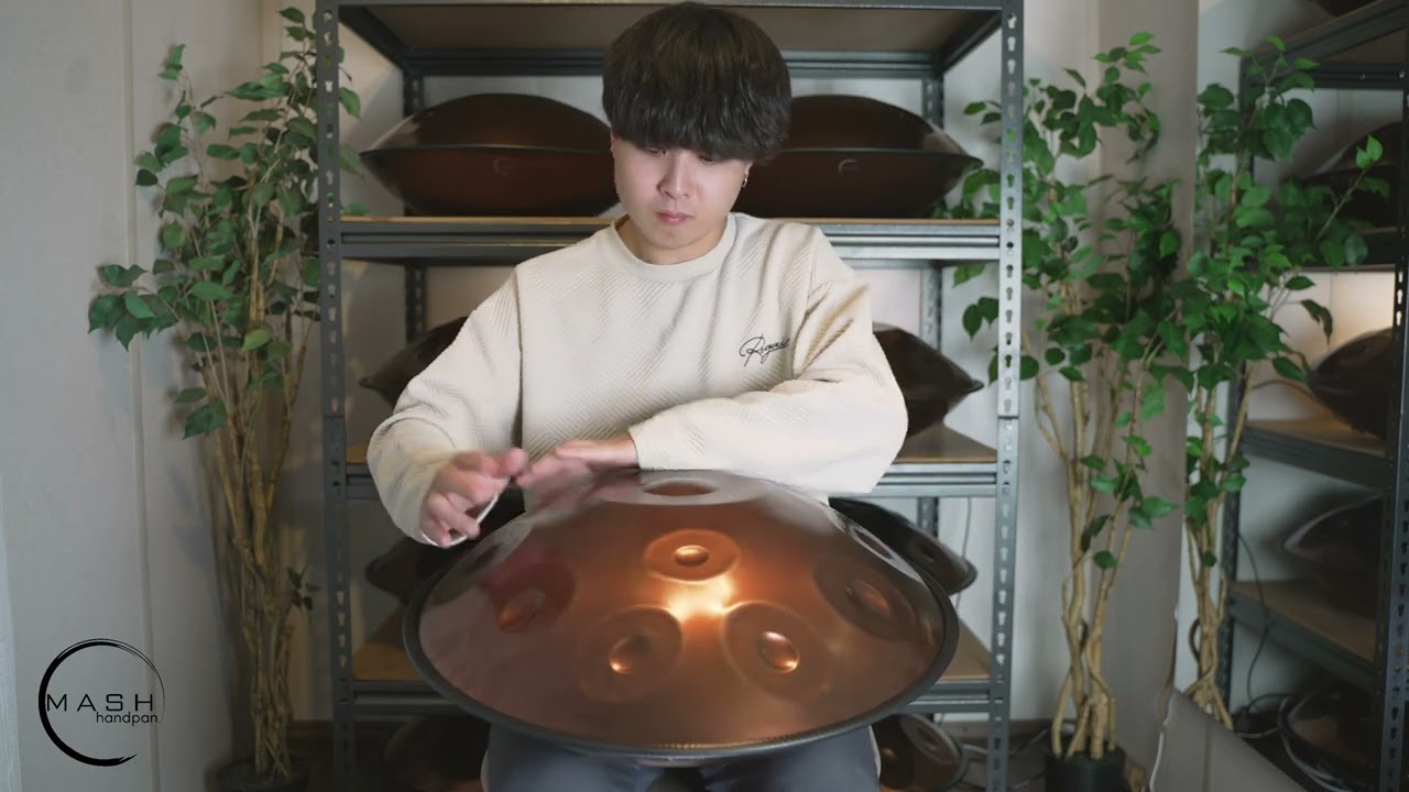 F Equinox 11音 - MASH handpan