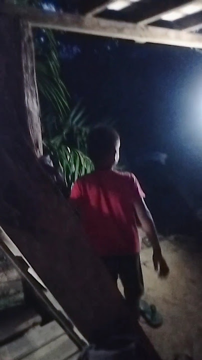 The joy of the night in the garden