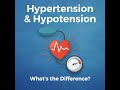 What&#39;s the Difference Between Hypertension &amp; Hypotension | High and Low Blood Pressure Explained