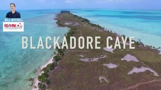 Exclusive Drone Footage of Leonardo DiCaprio's Private island, Blackadore Caye