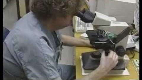 TERRORISM: BIOLOGICAL WEAPONS