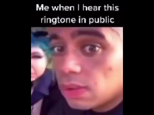 When you hear this ringtone in public #shorts #memes