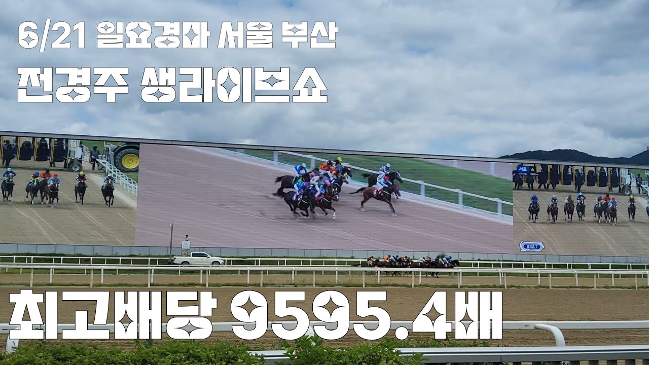 경마시작은 좋았으나 마무리가 안좋아!(일요경마 생라이브쇼)