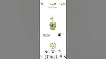 brain out crazy find level 43 | #shorts