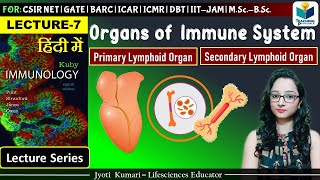 Immunology: Primary and Secondary Lymphoid Organs | Lecture-7