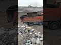 فافو وحش في ليلان 