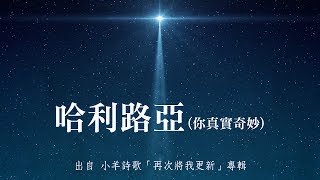 Video voorbeeld van "哈利路亞(你真實奇妙)-小羊詩歌(再次將我更新)"