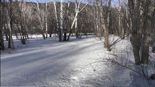 Забайкалье  Зима  Transbaikalia Winter
