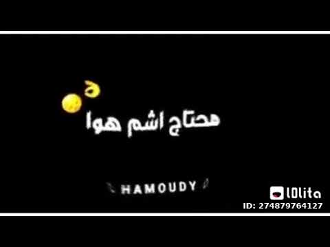 مهرجان قلب استوي تعبان ومليش دوا يومي مش مظبوط 