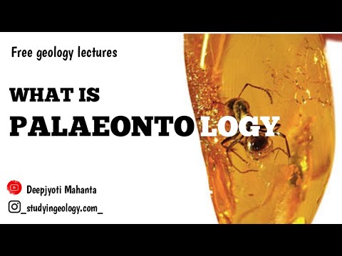 What is palaeontology? | What is Fossil | Geology optional upsc