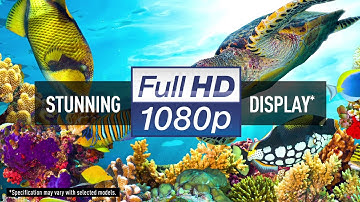 Epson Education Range Projectors Introduction Video