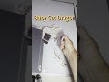 Baby Cat