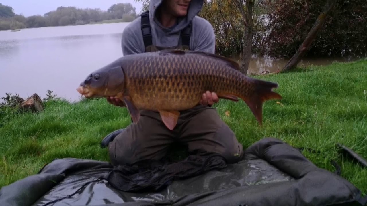 2019 carp fishing on the River Trent and a big nature reserve. - YouTube