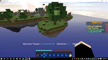 Mineplex - Cross Teaming - Report