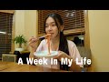 week in my life │ a trip full of eating & relaxing, my 25th bday, petkit purobot max pro 2 unboxing