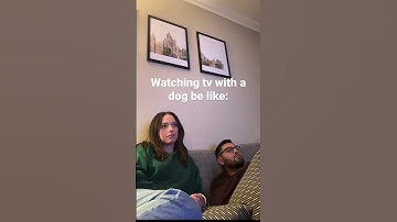 Watching tv with a dog be like #funny #dog