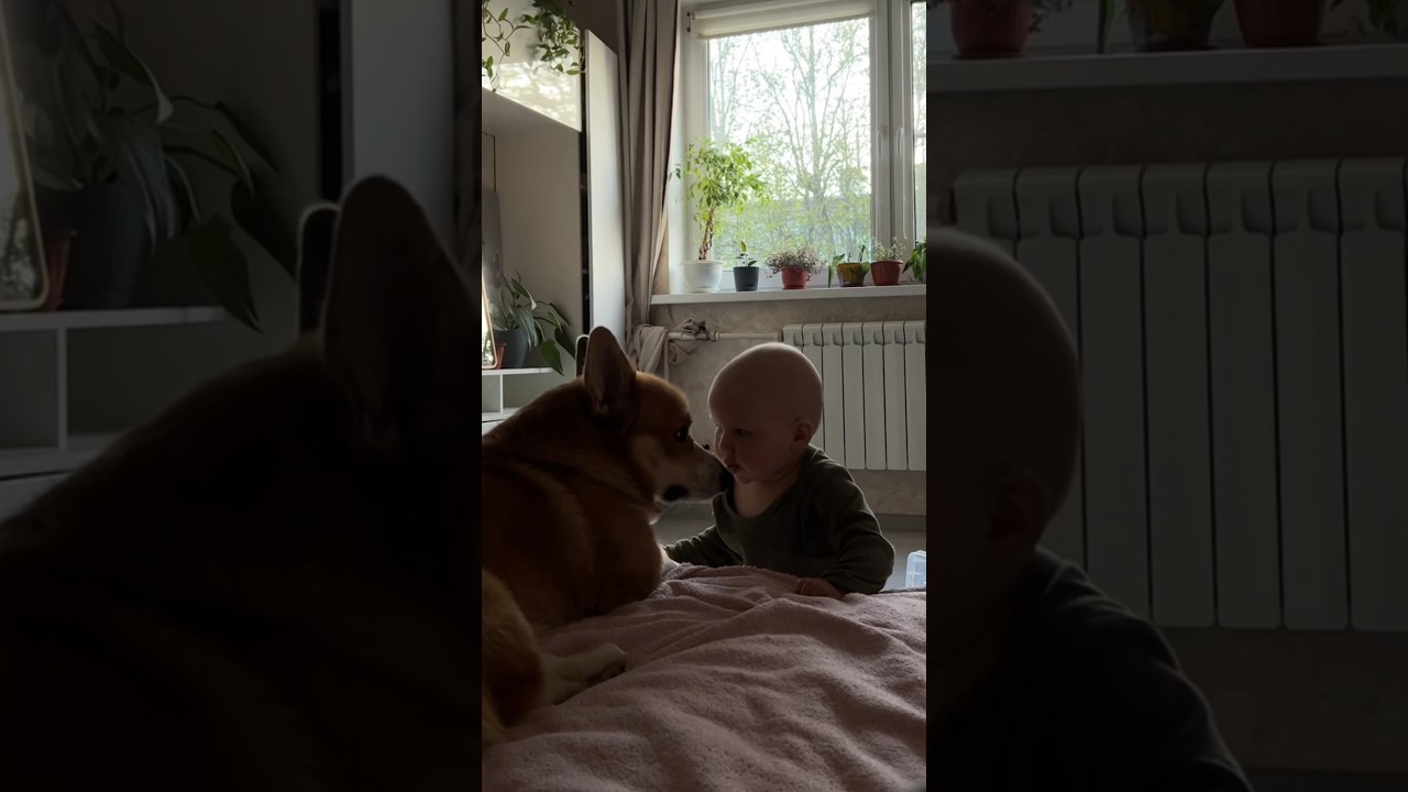 А какие изощренные способы самоуничт✨жения практикуют ваши дети и животные? 🙃