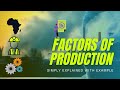Factors of Production: Exploring Resources and Their Roles in Business