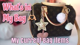 My Most Frequent Used Bag What I Currently Have In My Speedy Handbag