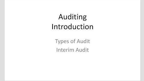 Interim Audit