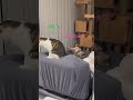 各々の時間⏰栗まんじゅう🌰は、一応女の子です🤦‍♂️笑笑🤣