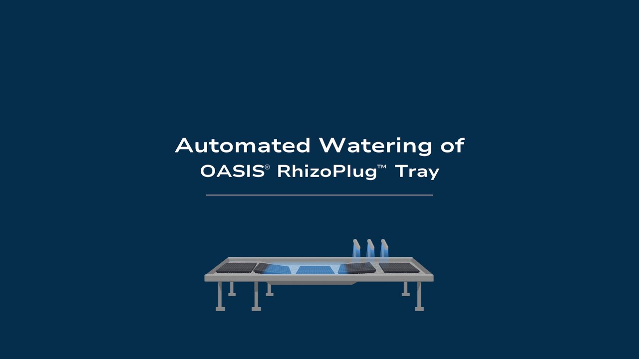 Automated Watering of OASIS® RhizoPlug™ Tray