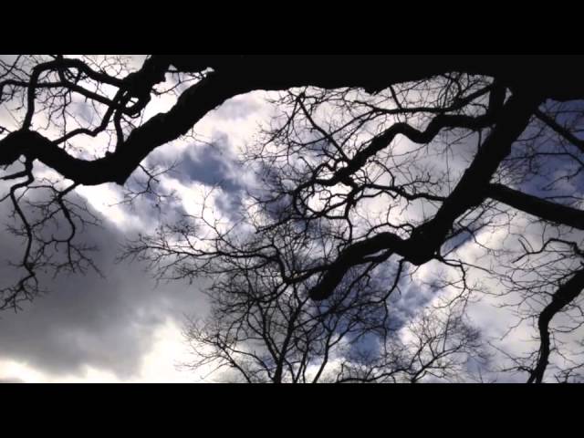 YouTube पर The Scary Stairs to Bed: North West Passage by Robert Louis stevenson देखें