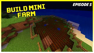 Minecraft Survival ეპიზოდი 5, პატარა ხორბლის ფერმა