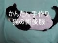 包帯で作る猫の術後服