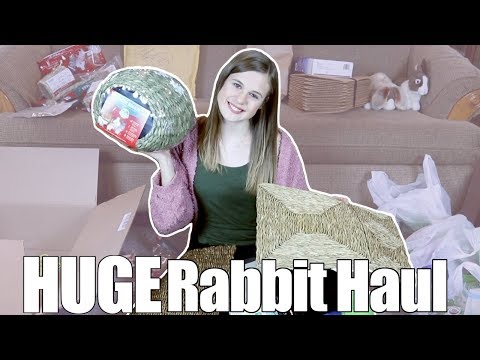 HUGE Rabbit Haul!