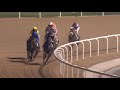Mouheeb (USA) wins the G3 1600m dirt TB race I Racing At Meydan I Race 3 I UAE 2000 Guineas