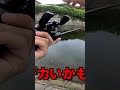 完全放置で食って来たバスがヌシ!? #バス釣り