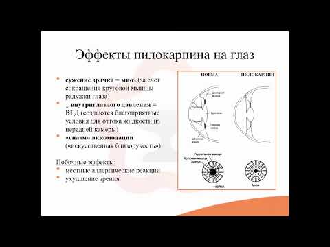 4.2. М-холиномиметики
