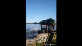Combo vine. Ukraine