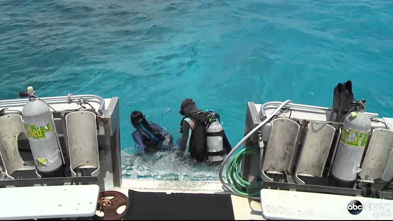 ⁣Real-Life Mermaid Swims With the Sharks