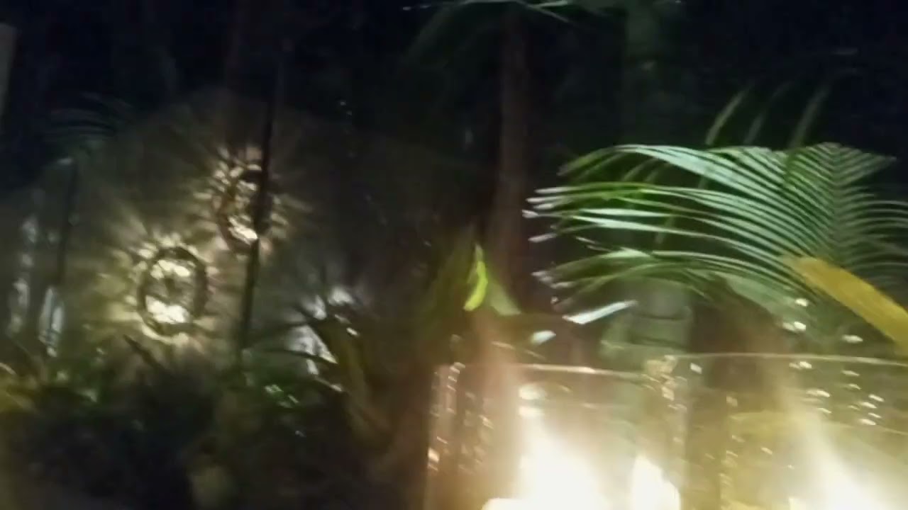 6007: 6000th video Special: [MY YT-First] Javier's Restaurant - Newport Beach