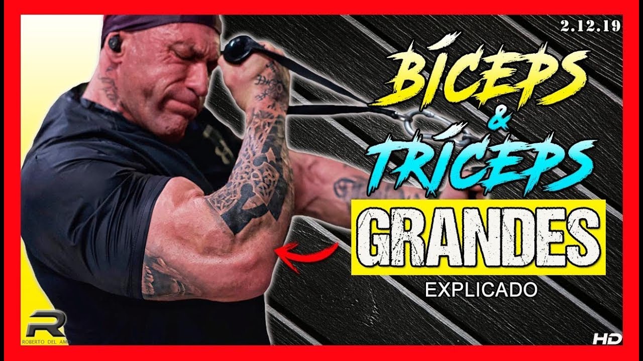 EL MEJOR ENTRENAMIENTO BICEPS & TRICEPS  ( EXPLICADO )