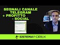 Mauriforex, Trading on Line e Segnali Forex - Trailer canale
