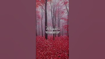 ايات التوكل على الله بصوت الشيخ مشاري العفاسي حالات واتس اب دينية قصيرة مؤثرة قرآن كريم تلاوة خاشعة