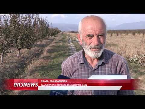 რა სთხოვა გარდაცვლილი თორნიკე მერებაშვილის მამამ გიორგი გახარიას 21.10.2019