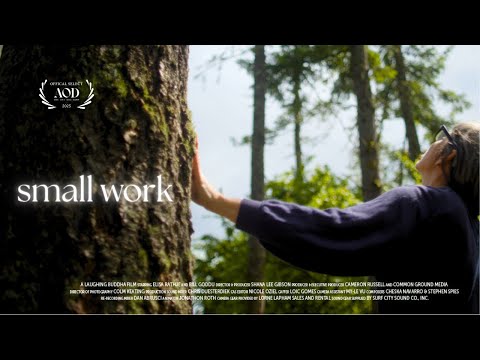 Related Embedded Video Item Thumbnail