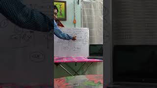 Concept from Laplace 2D flow equation