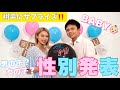 【性別発表👶】翔平にサプライズ!女の子?❤️男の子?💙