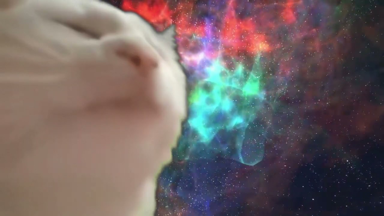 ImCatJam - 'CatJam Song (Slowed + Reverb)' M/V - YouTube