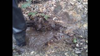 ABUSING BRAND NEW WADERS TEASER