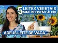 Os 5 LEITES vegetais MAIS RICOS EM CÁLCIO | Fáceis, SAUDÁVEIS e sustentáveis