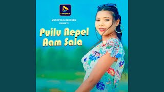 Download Lagu Puilu Nepel Aam Sala Download Lagu Puilu Nepel Aam Sala